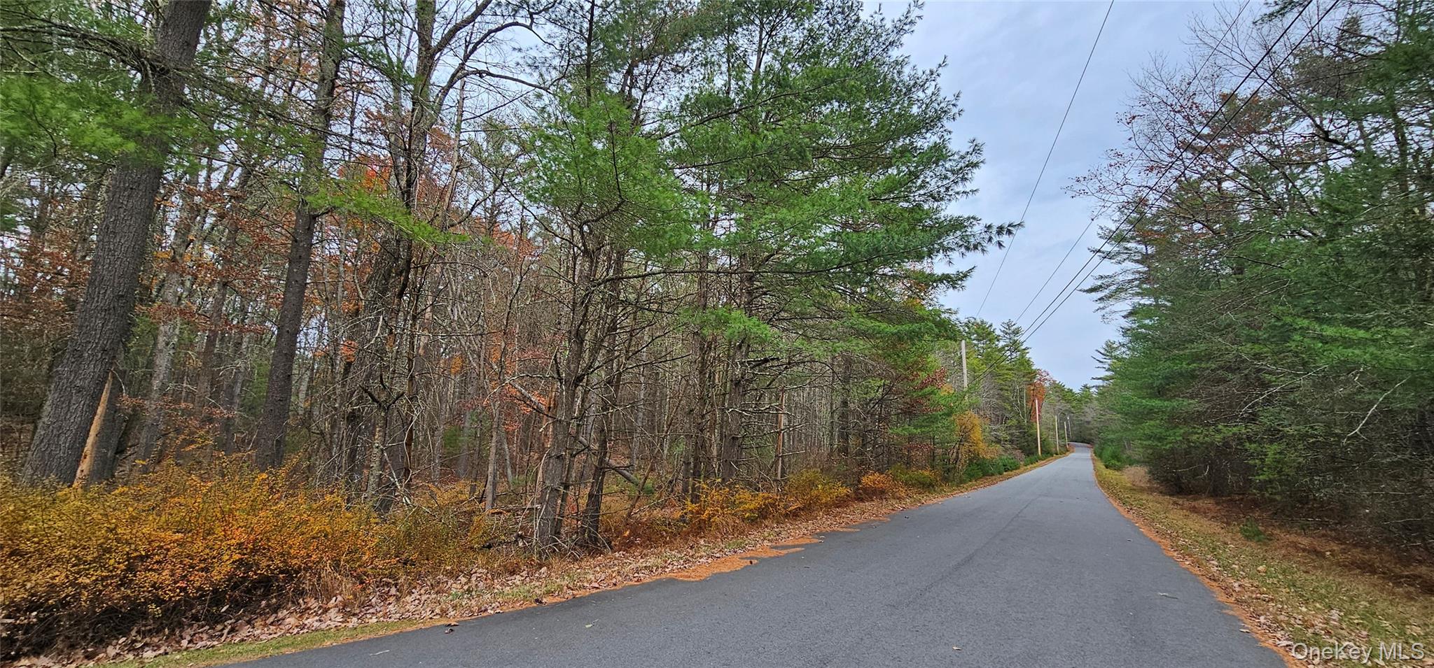 Lot 28 Summit Drive – For Sale photo 6