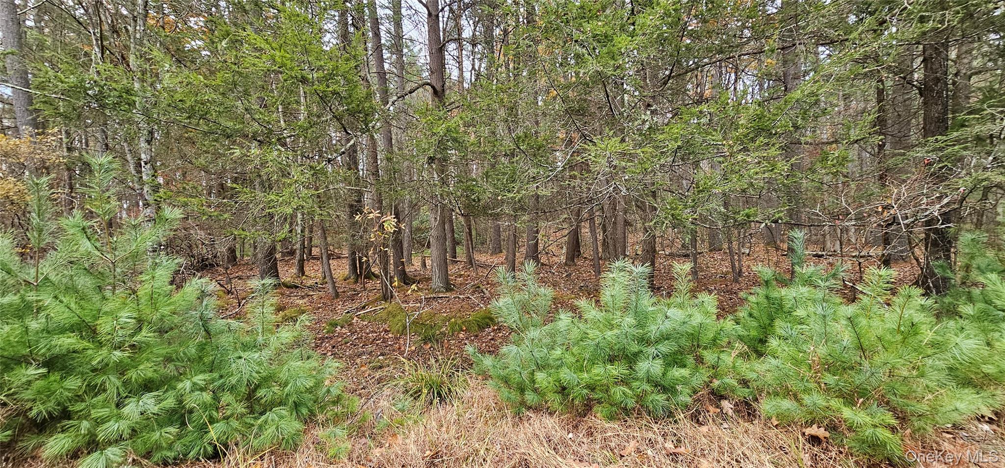 Lot 28 Summit Drive – For Sale photo 10