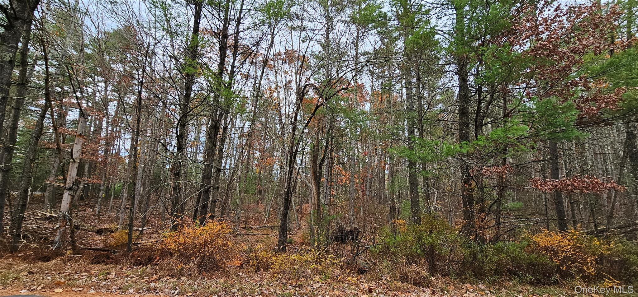 Lot 28 Summit Drive – For Sale photo 7