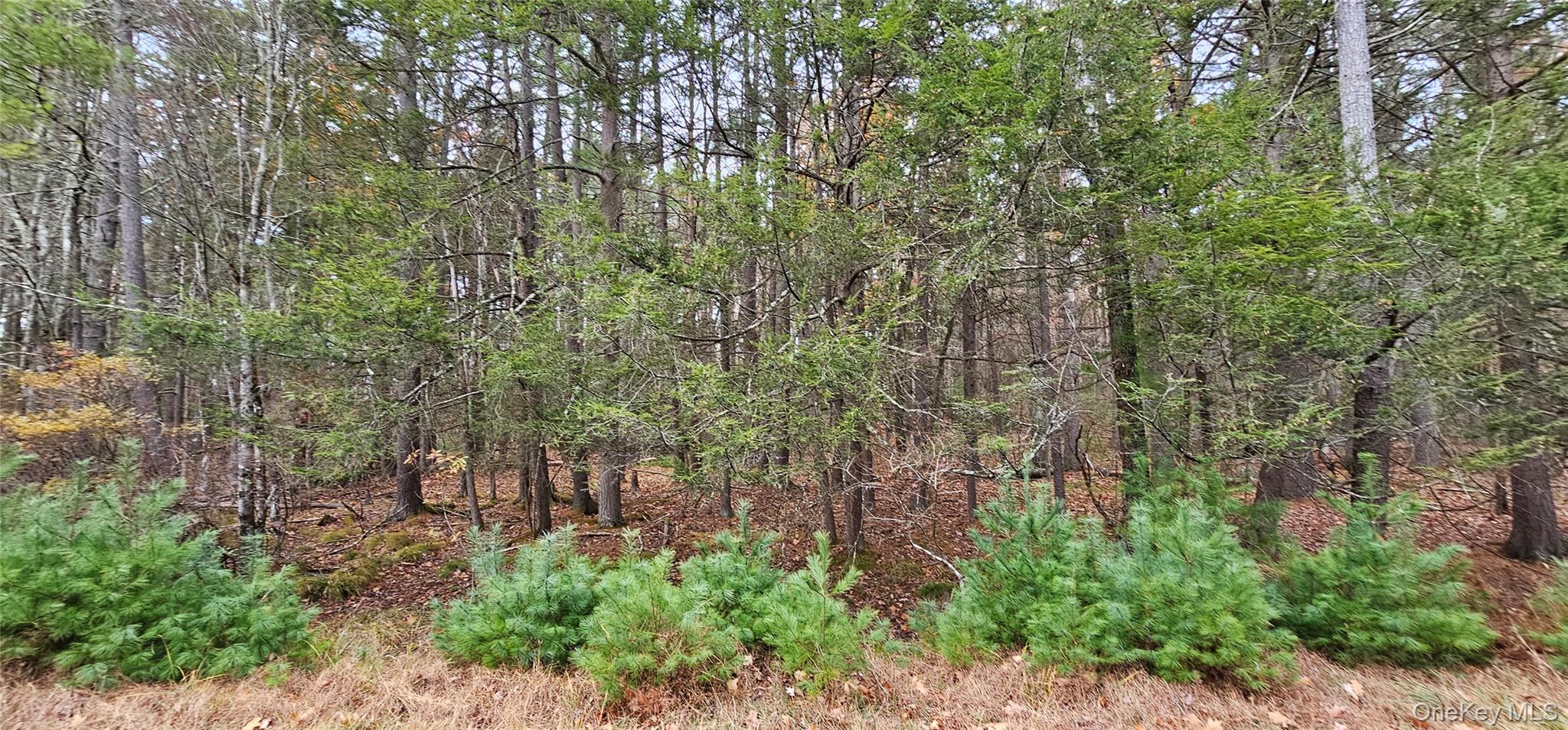 Lot 28 Summit Drive – For Sale photo 9