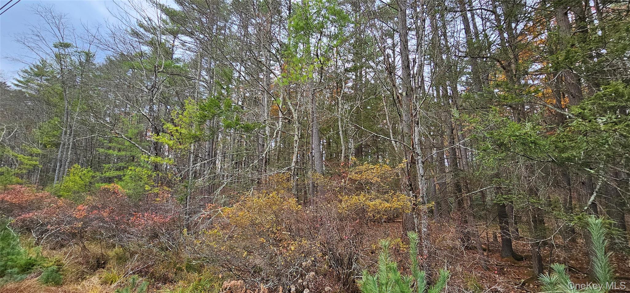 Lot 28 Summit Drive – For Sale photo 12