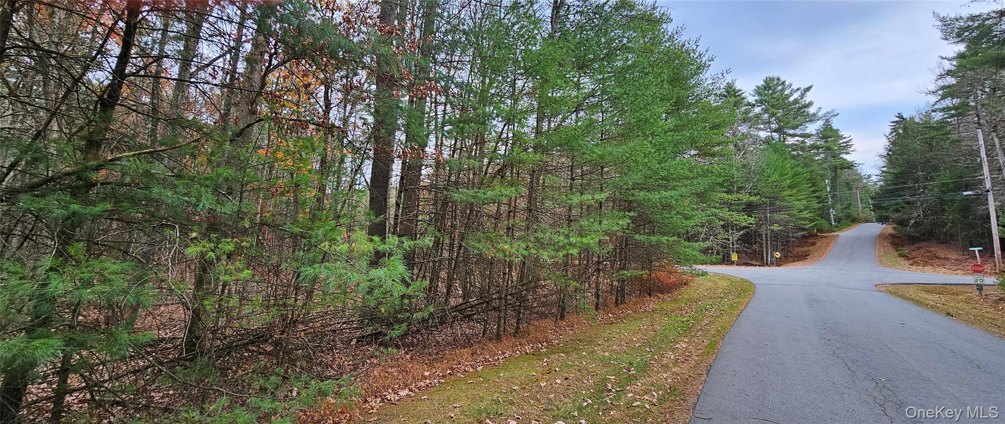 Lot 28 Summit Drive – For Sale photo 4