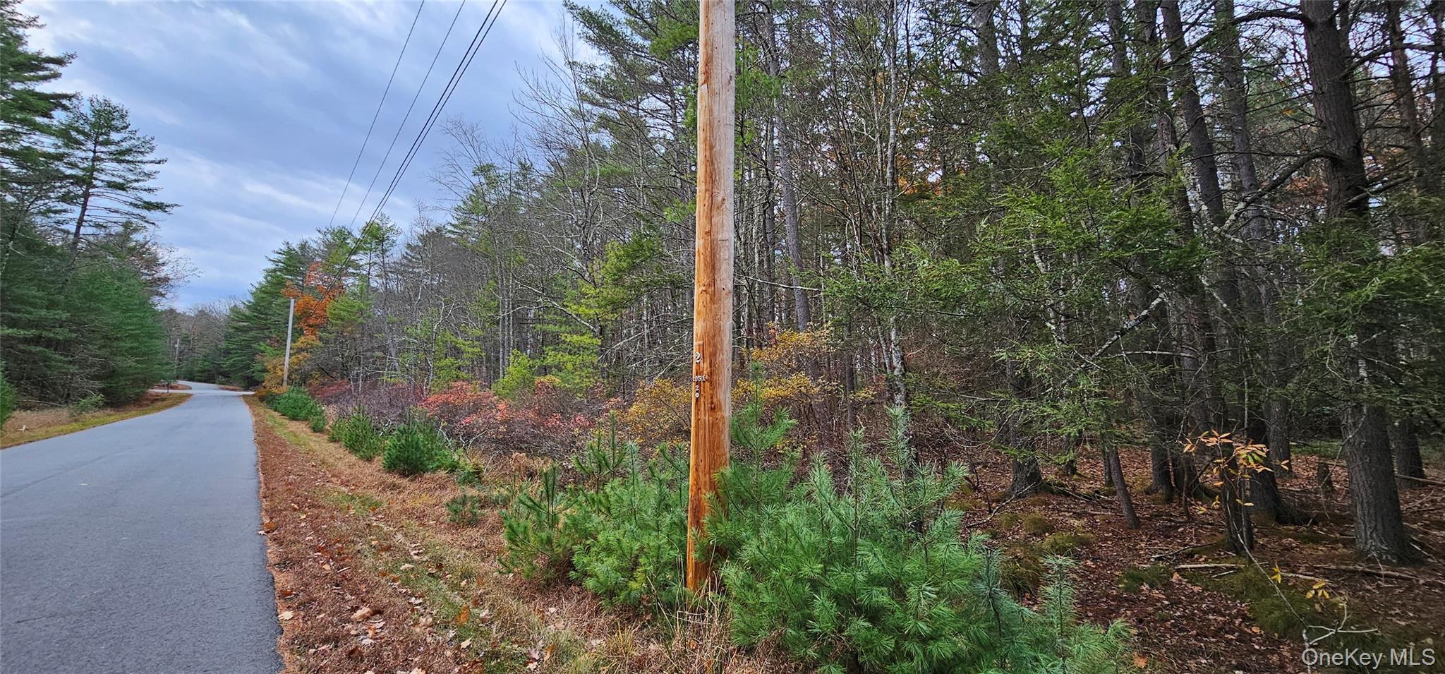 Lot 28 Summit Drive – For Sale photo 11