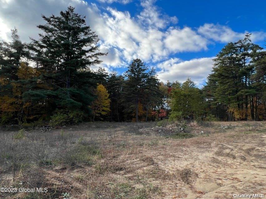 15 Pasco Avenue – For Sale photo 44