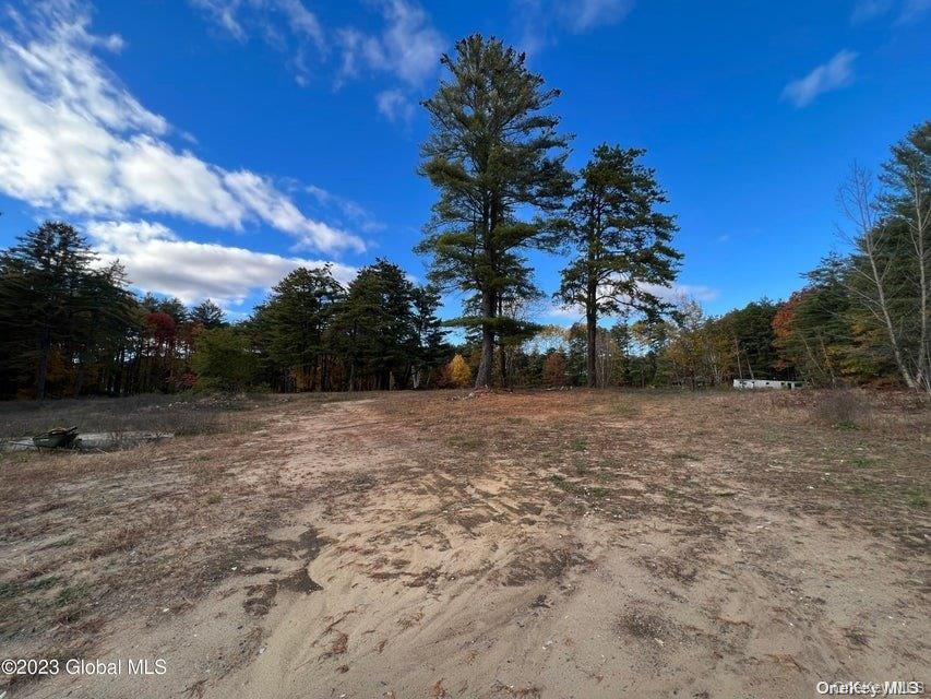 15 Pasco Avenue – For Sale photo 45