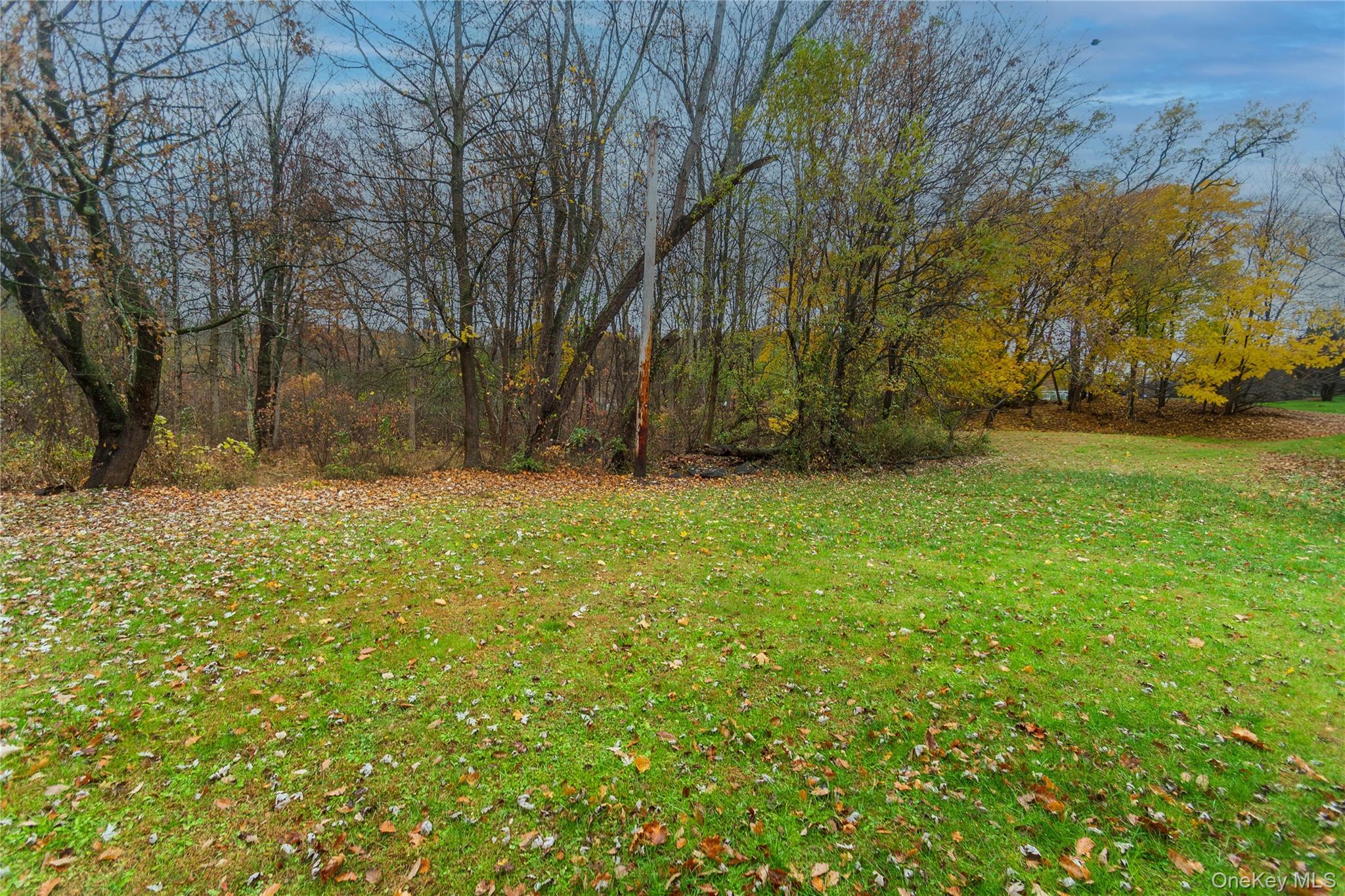 426 Violet Avenue – For Sale photo 7