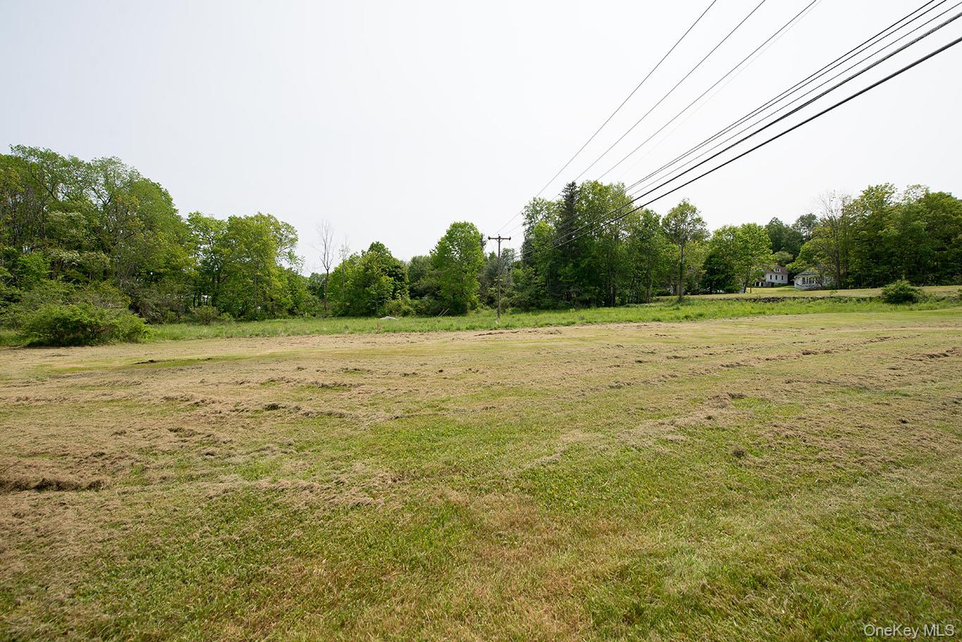 1132 Old Route 17 – For Sale photo 27