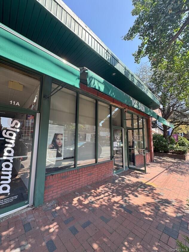 9 Bond Street – For Rent photo 2
