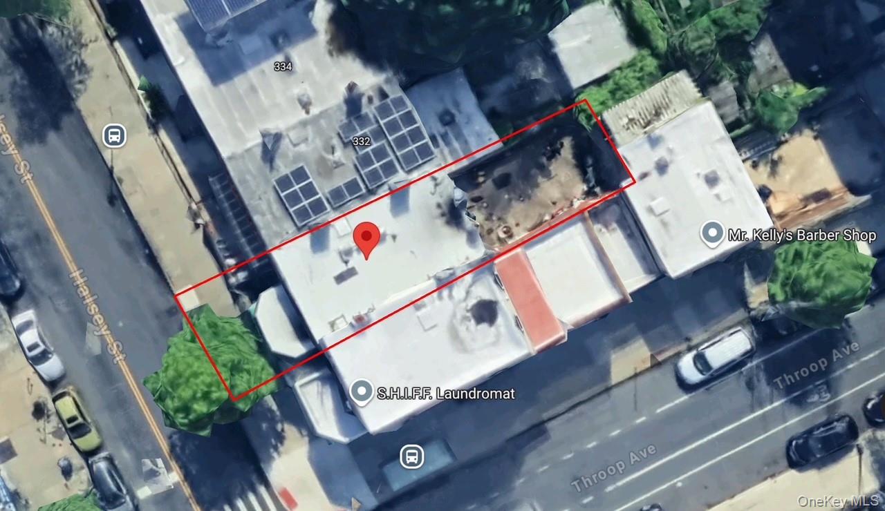 330 Halsey Street – For Sale