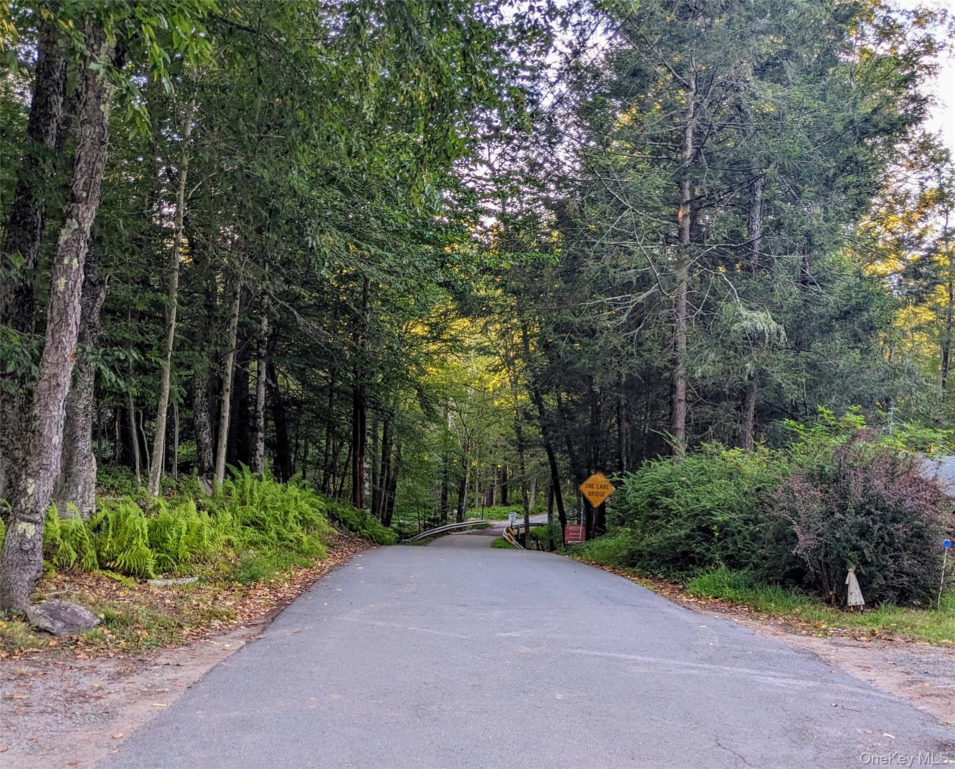 24 N Mohican Trail – For Sale photo 2