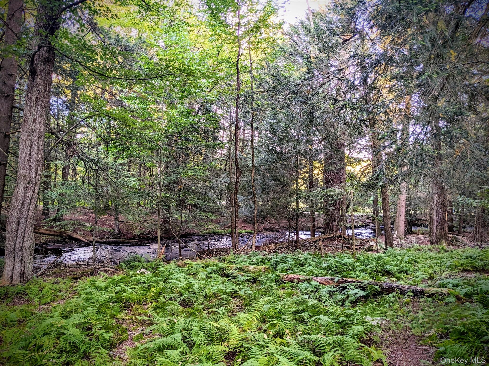 24 N Mohican Trail – For Sale photo 41