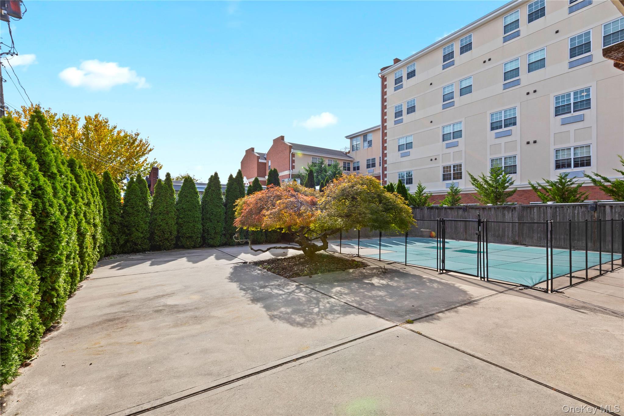 10 Maple Avenue – For Sale photo 20
