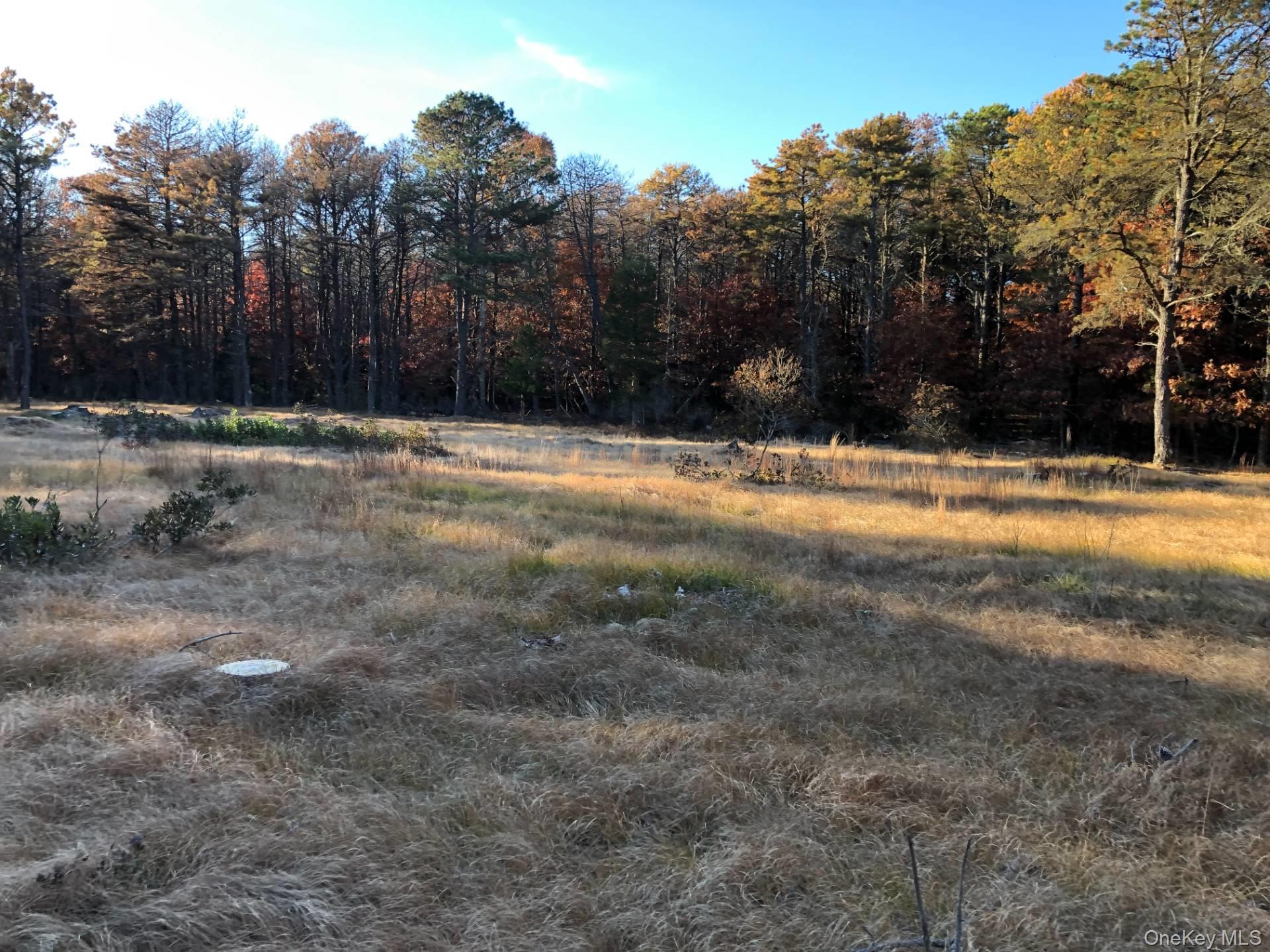 Green Hollow Road – For Sale photo 6