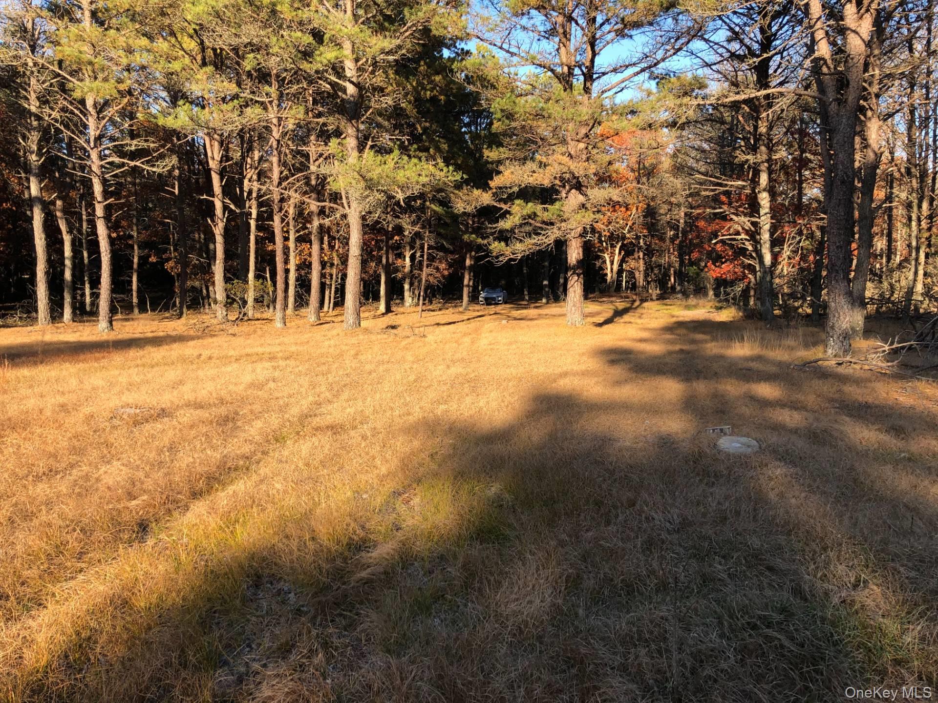 Green Hollow Road – For Sale photo 5
