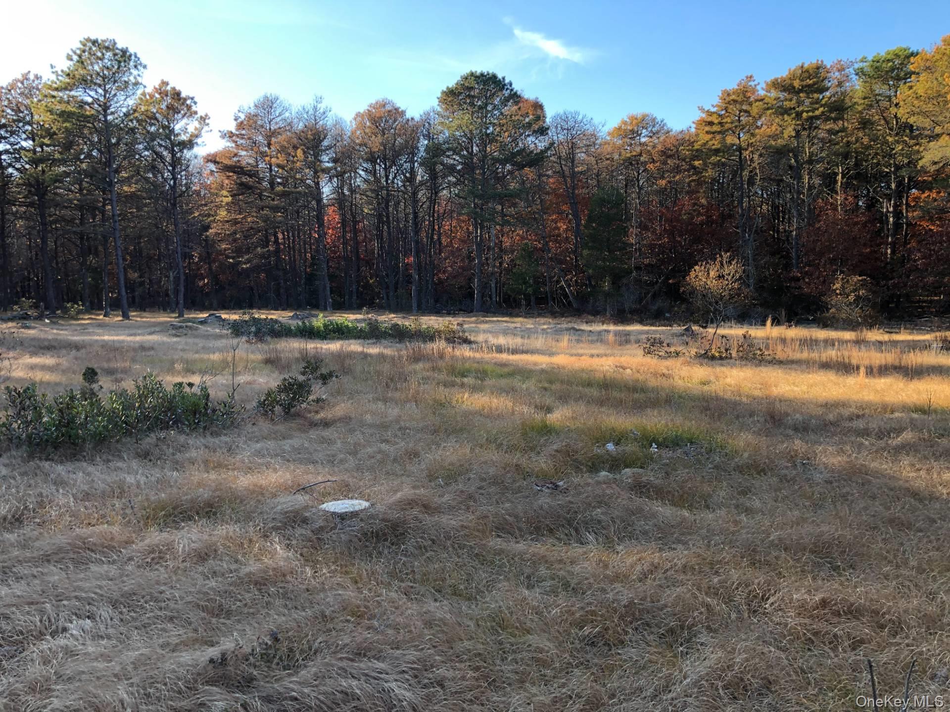 Green Hollow Road – For Sale photo 4