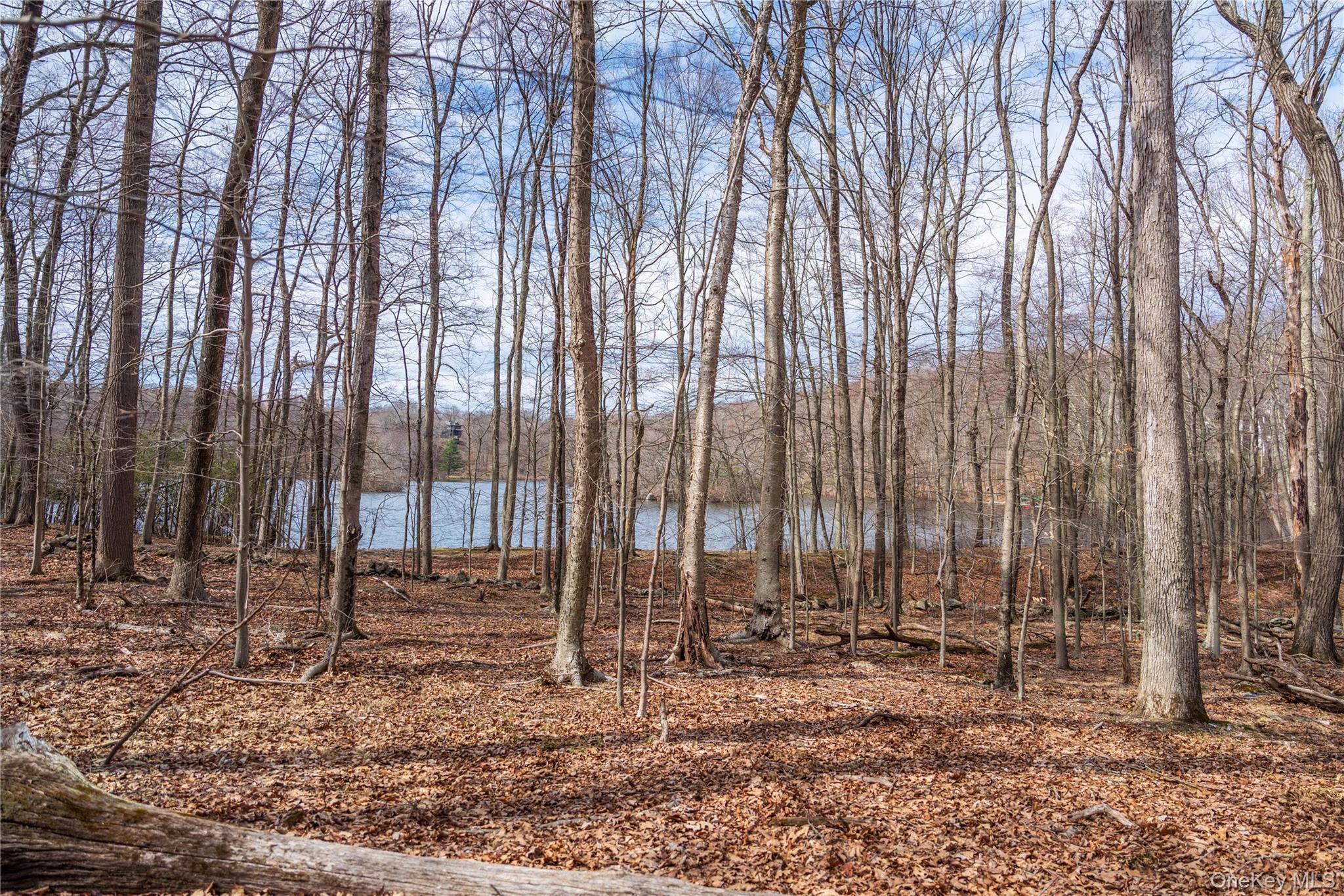 32 Joshua Hobby Lane – For Sale photo 15