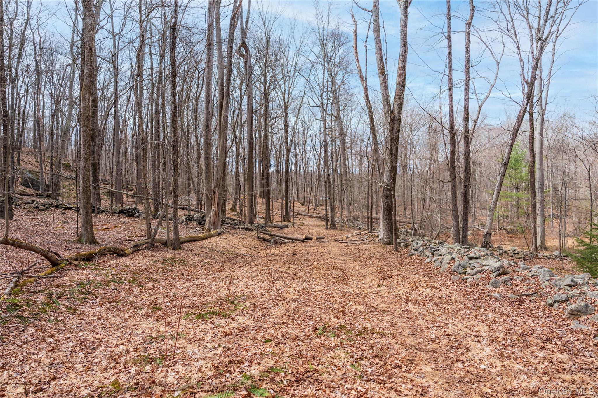 32 Joshua Hobby Lane – For Sale photo 5