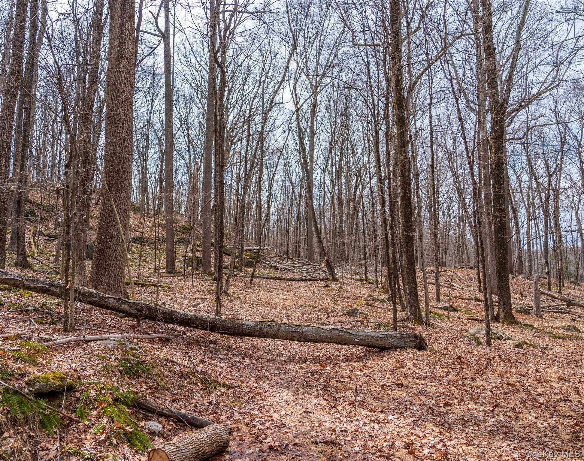 32 Joshua Hobby Lane – For Sale photo 8