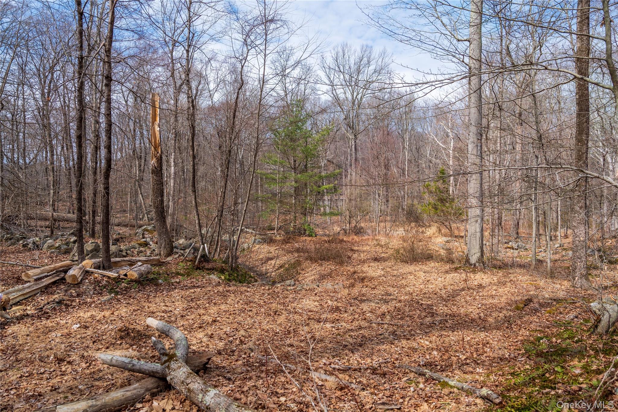 32 Joshua Hobby Lane – For Sale photo 11