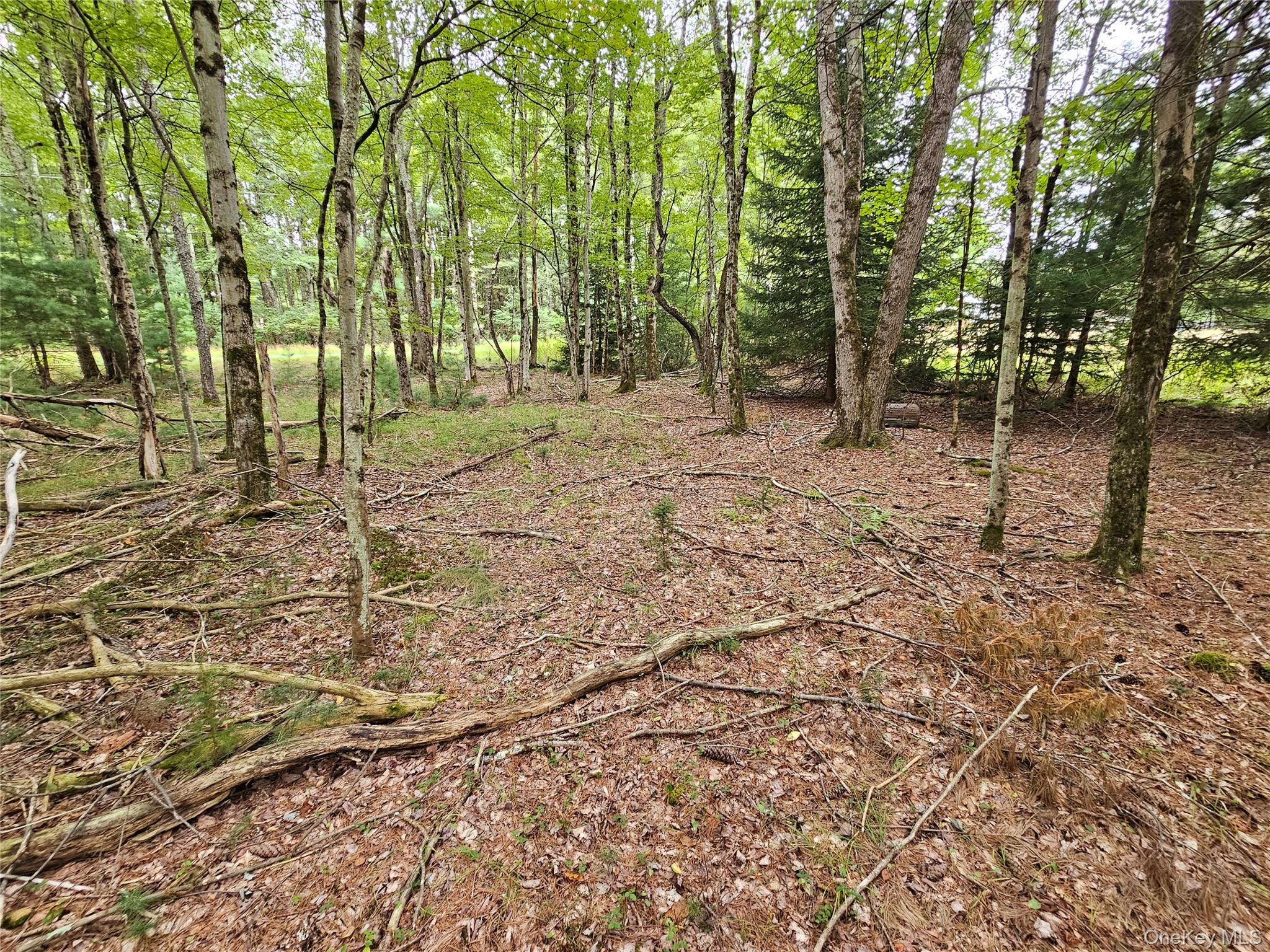 3624 State Route 55 – For Sale photo 37