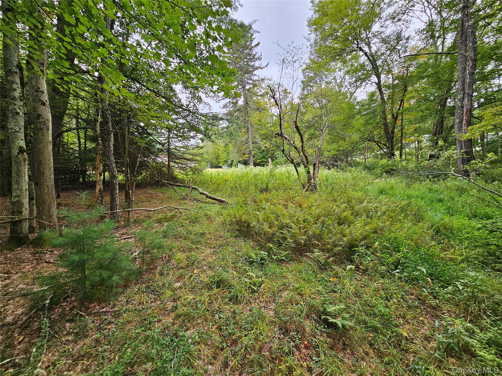 3624 State Route 55 – For Sale photo 38