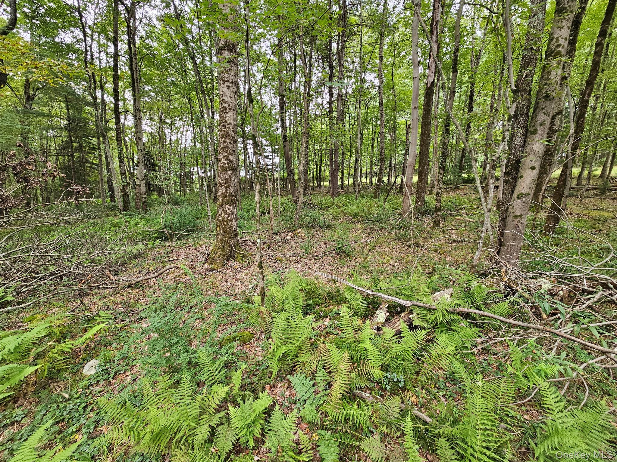 3624 State Route 55 – For Sale photo 41