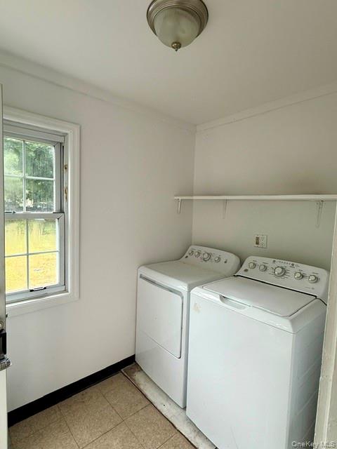13 Forest Avenue – For Sale photo 22