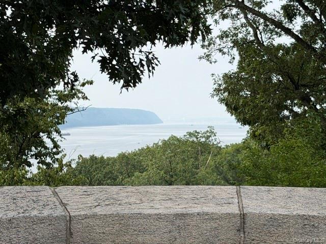 225 Bennett Avenue, Unit 2R photo 27