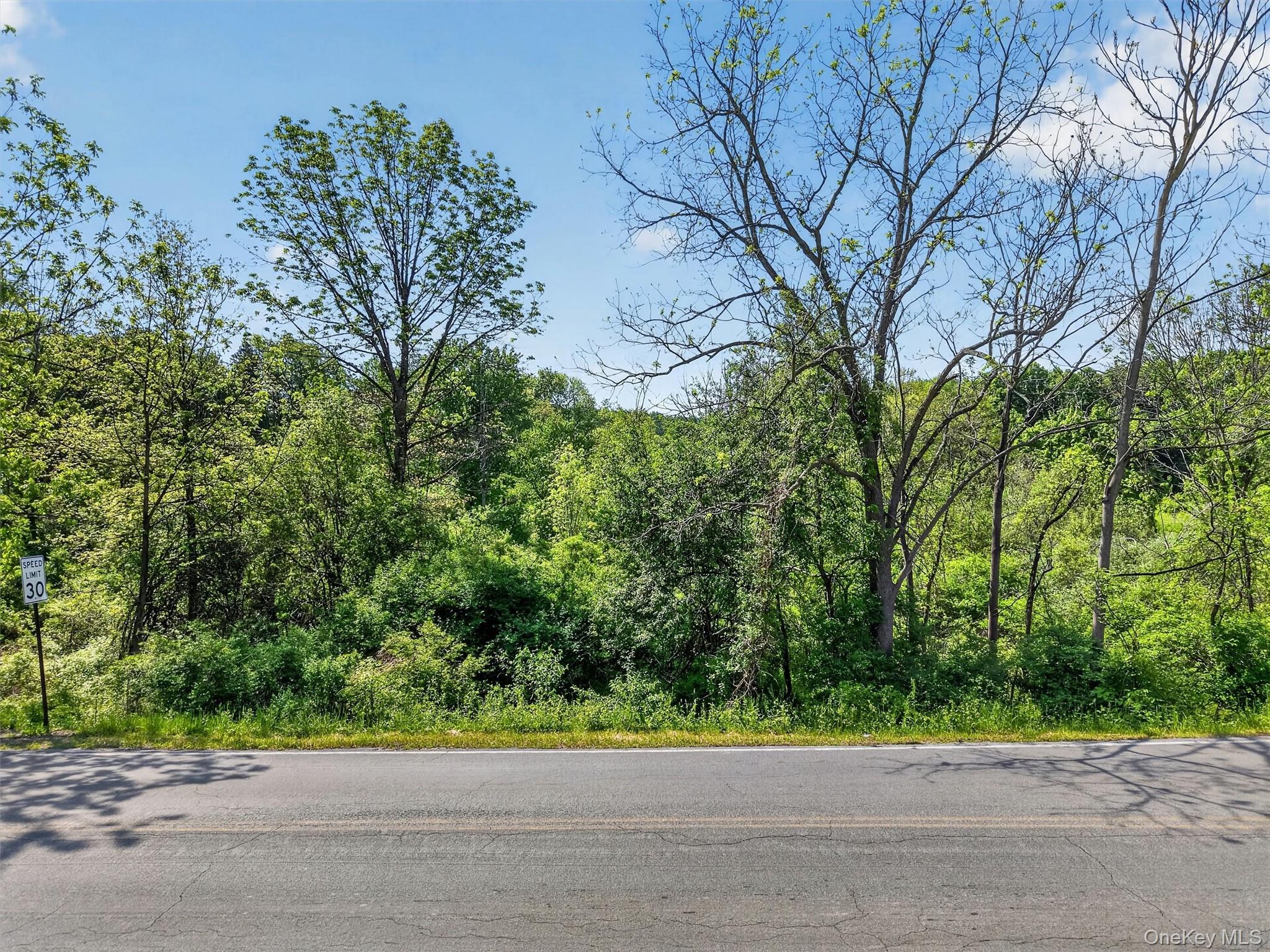 Moore’s Hill Road – For Sale photo 2