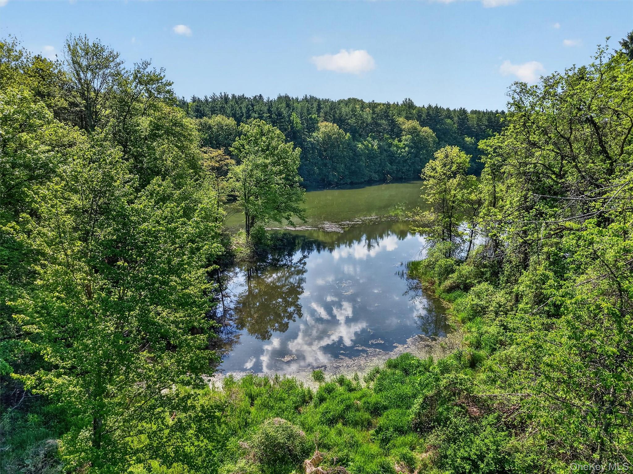 Moore’s Hill Road – For Sale photo 8