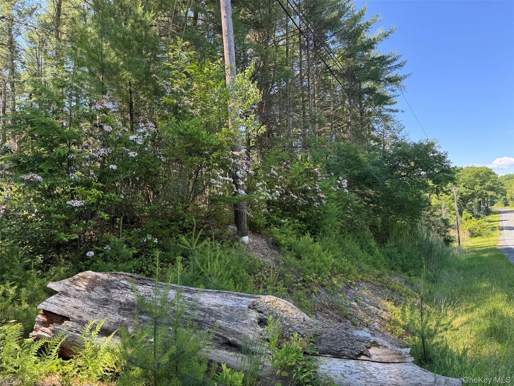 1315 Sackett Lake Rd – For Sale photo 3