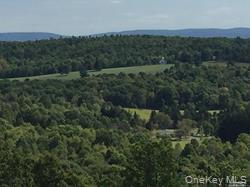 Greeley Road /Rte 27 – For Sale