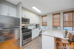 25 W Broadway, Unit 204 photo 6