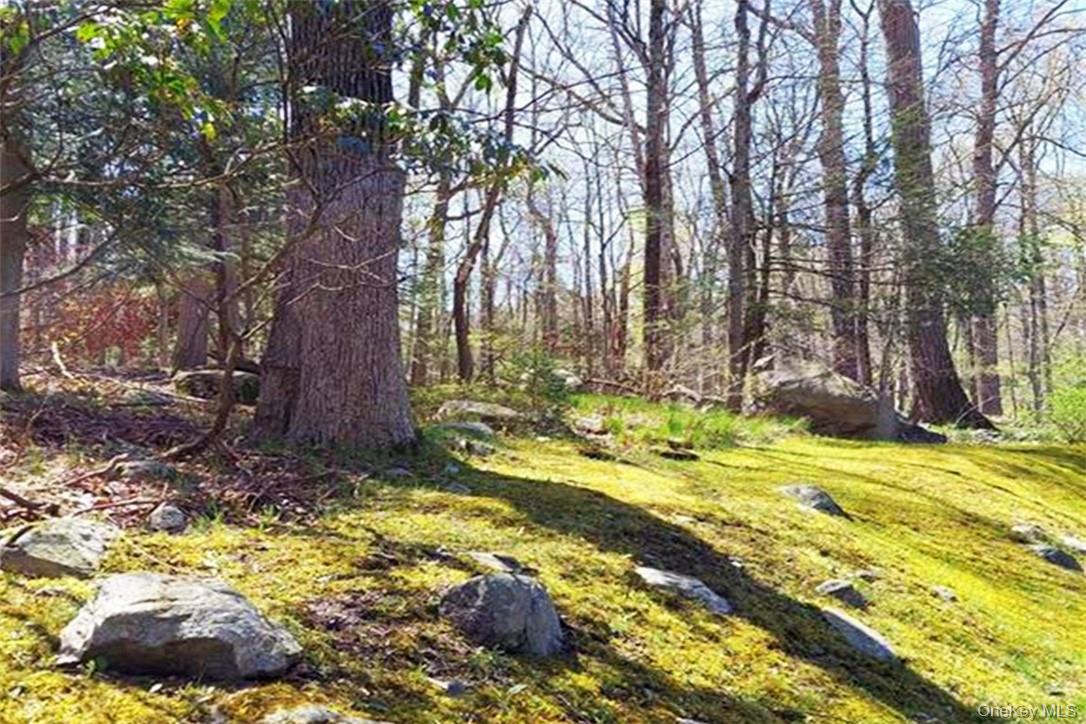 Pine Road & Pepperidge Road – For Sale