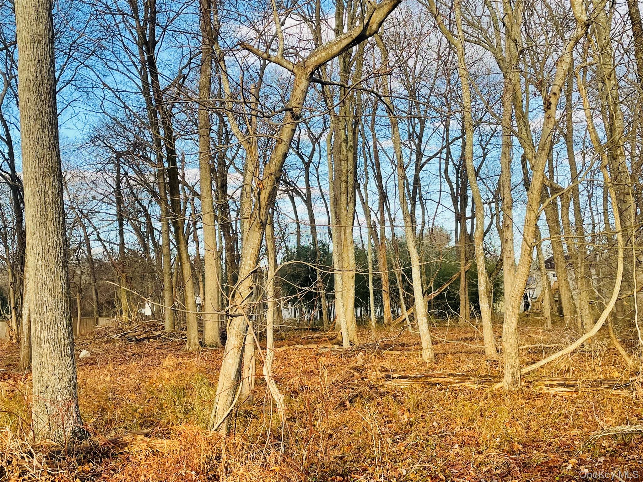 VL Daniel Lane – For Sale photo 2