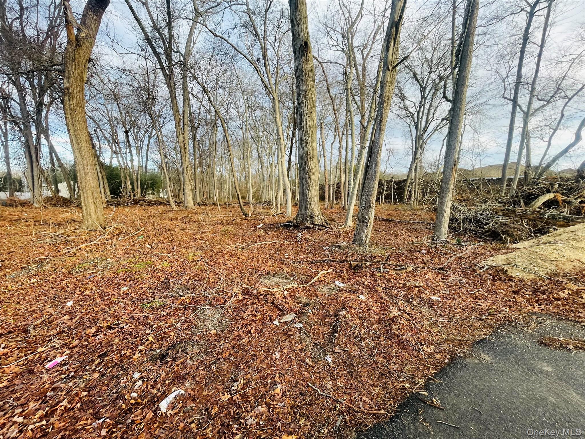 VL Daniel Lane – For Sale photo 3