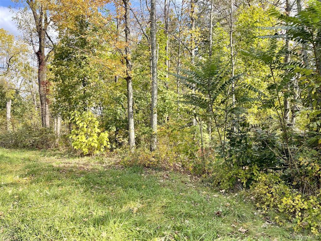 534 Violet Avenue – For Sale photo 2