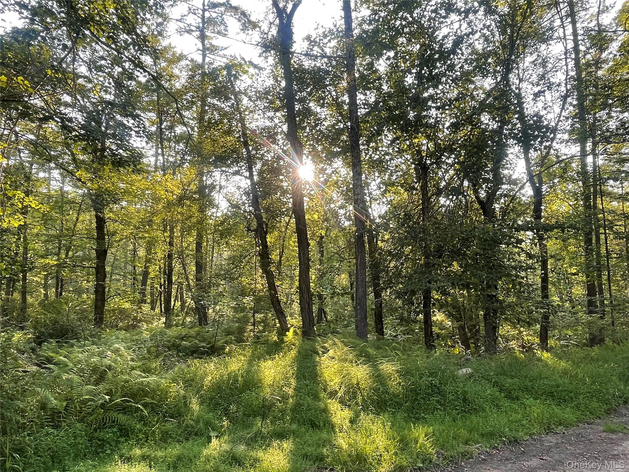 Loch Ada Road – For Sale photo 4