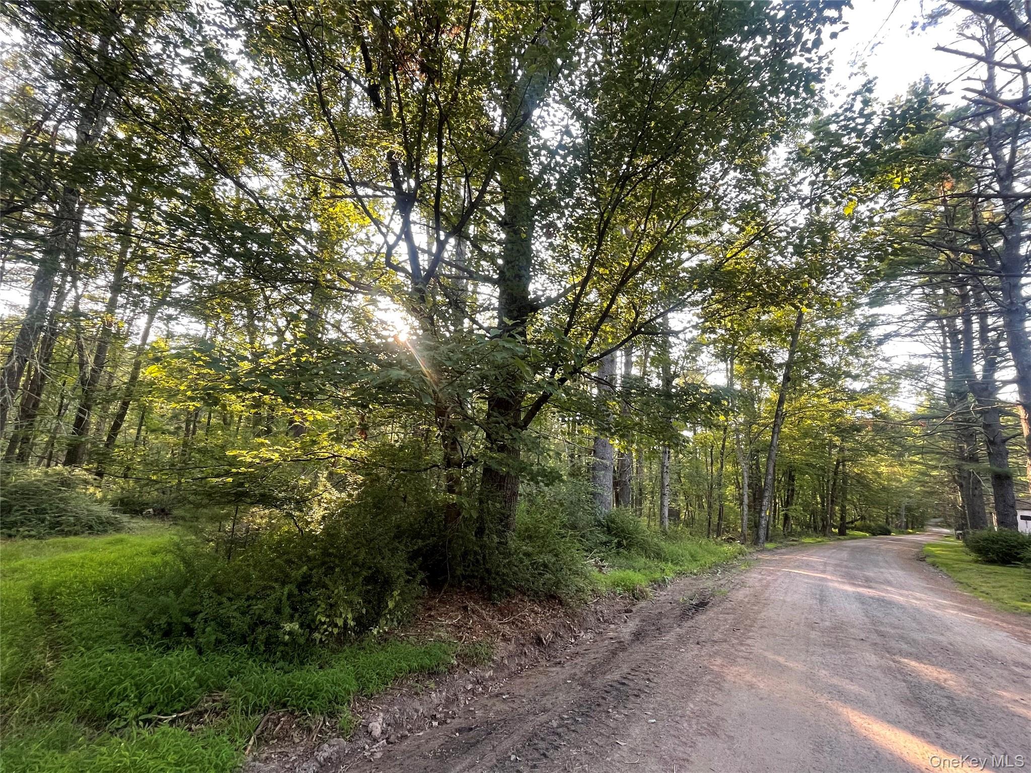 Loch Ada Road – For Sale photo 3