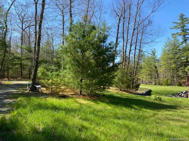 592 Proctor Road – For Sale photo 6