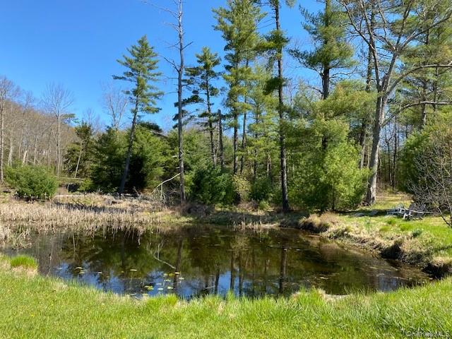 592 Proctor Road – For Sale photo 7