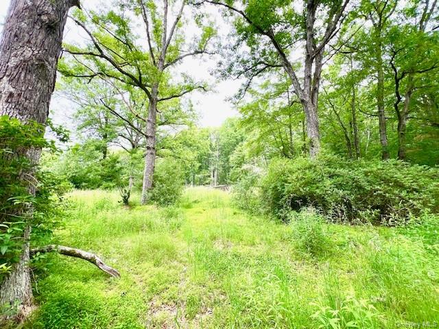 7584 N Route 97 S – For Sale photo 7