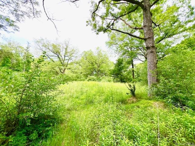 7584 N Route 97 S – For Sale photo 6