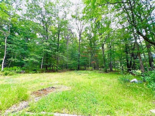 7584 N Route 97 S – For Sale photo 5