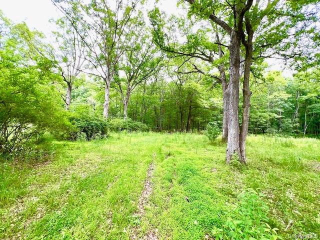 7584 N Route 97 S – For Sale photo 9