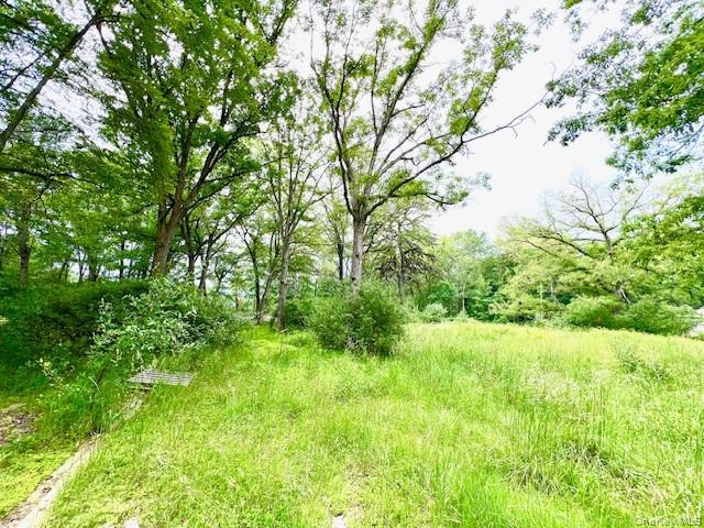 7584 N Route 97 S – For Sale photo 3