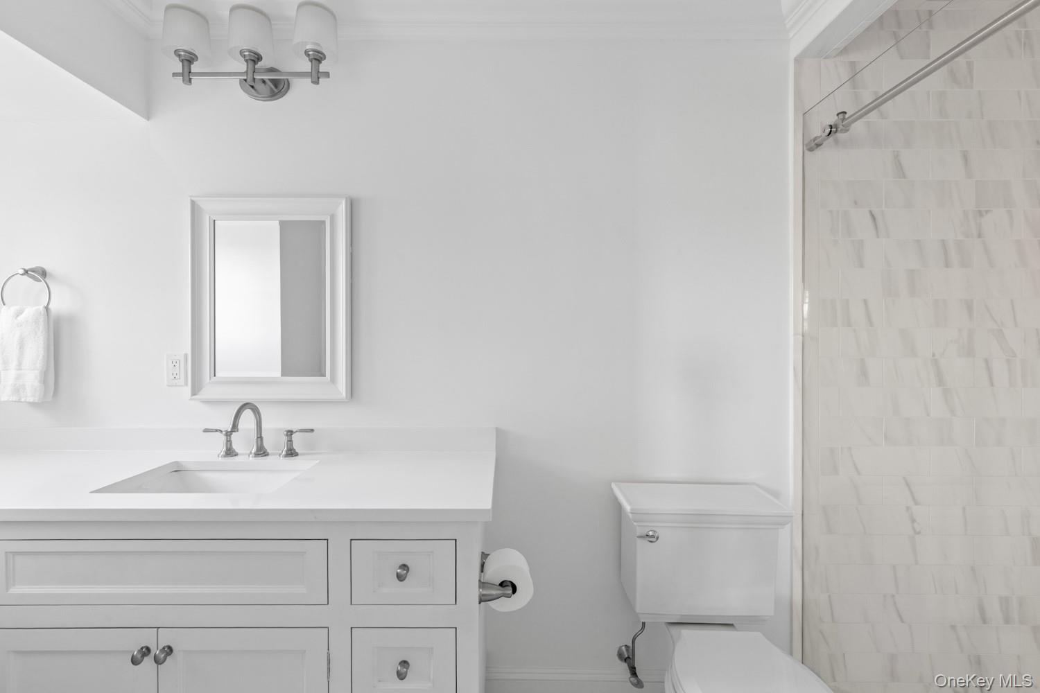 17 Ludlow Lane – For Rent photo 48