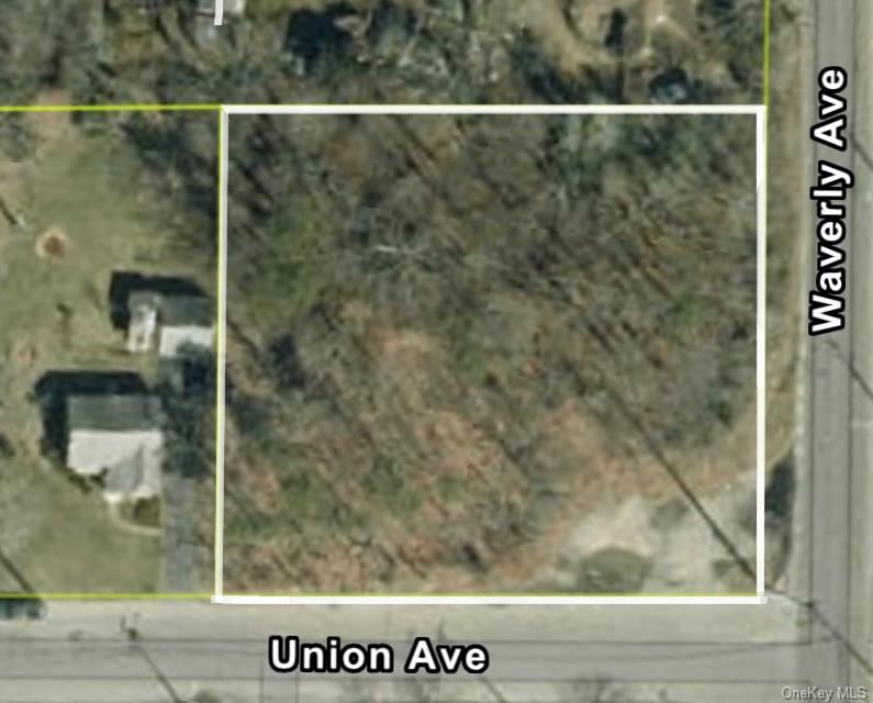 Waverly Avenue – For Sale