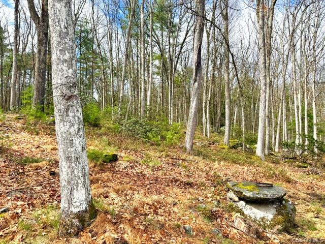 195 W Mohican Trail – For Sale photo 5
