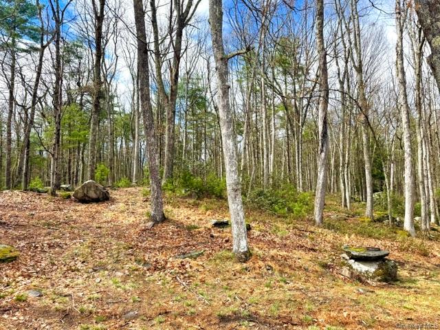 195 W Mohican Trail – For Sale photo 10